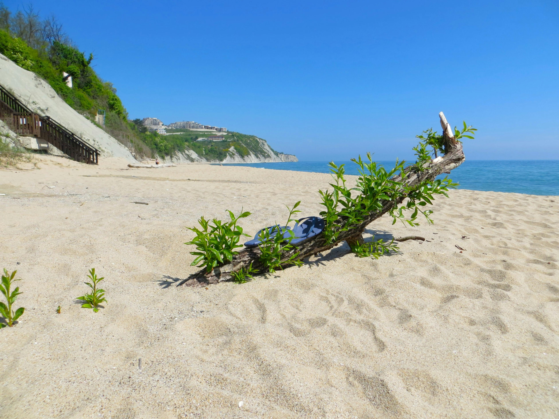 Beach or Twenty Minutes Inland? An Honest Comparison