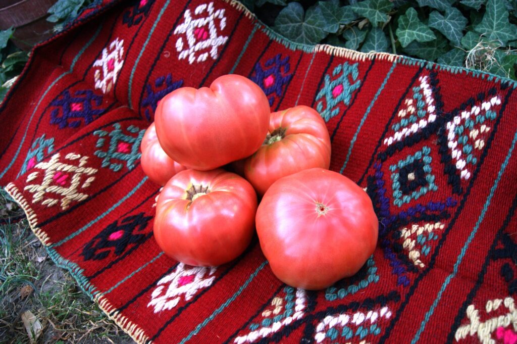 Bulgaria's Secret Superpowers: Yogurt and Pink Tomatoes
